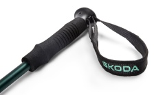 Trekking Sticks