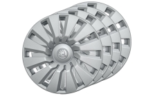 Hub covers Tecton 16"