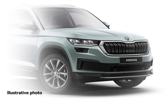 Touch-up paint pencil green Arctic metallic | Official Skoda Auto