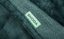 2 in 1 Blanket