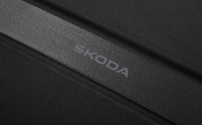 Business bag