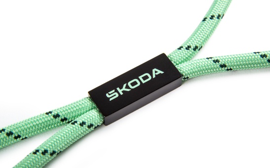 Lanyard electric