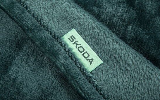 2 in 1 Blanket