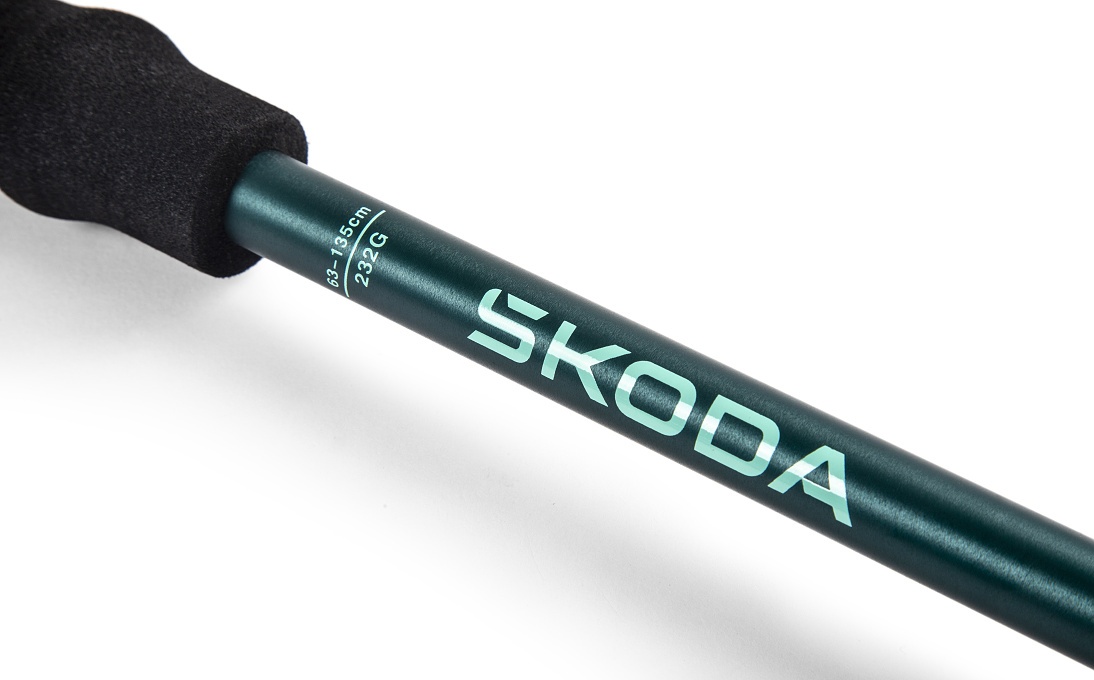 Trekking Sticks