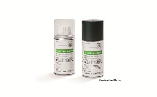 Paint spray grey Graphite metallic