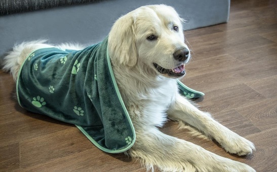 Pet Blanket