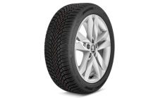 Komplettes Winter-Leichtmetallfelge Canis 16" für Fabia IV