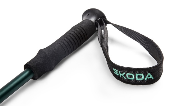 Trekking Sticks