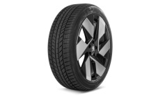 Complete winter alloy wheel Javan 21" rear for Peaq