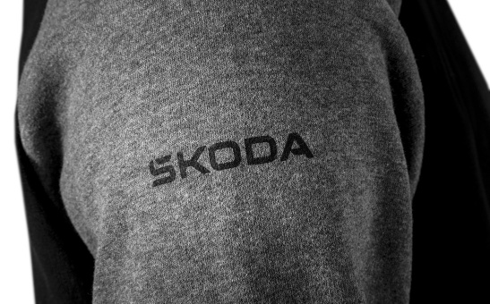 Men's Hoodie Motorsport