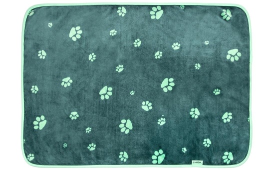 Pet Blanket
