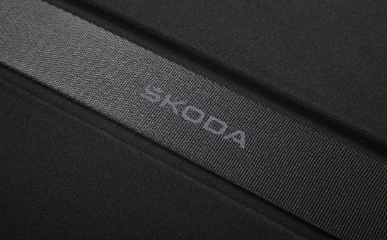 Business bag