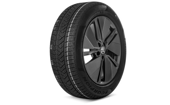 Complete winter alloy wheel Regulus 19" front for Enyaq, Elroq