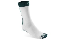 Socks Motorsport 125 years