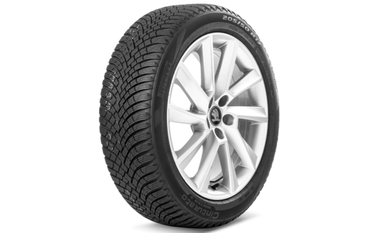 Complete winter alloy wheel Stratos 17" for Scala
