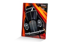Tin metal sign Škoda Icons Popular