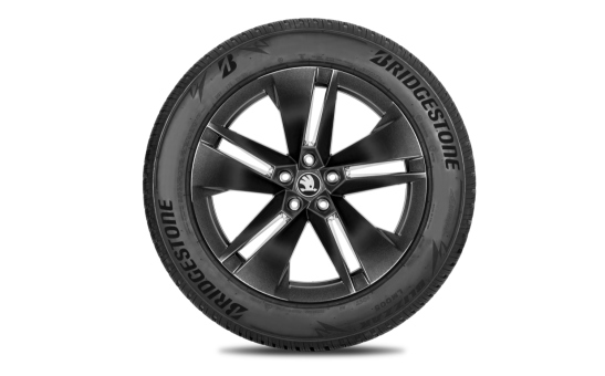 Complete winter alloy wheel Proteus 19" front for Elroq, Enyaq
