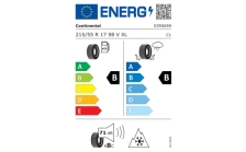 Complete winter alloy wheel Ratikon 17" for Karoq
