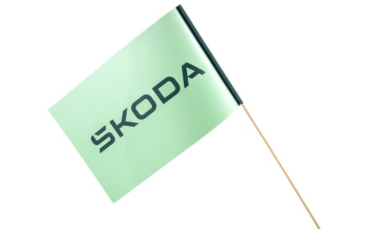 Hand Flag